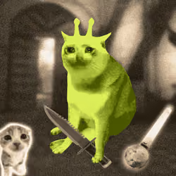 Cash Cat #4126