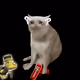 Cash Cat #8190