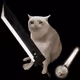 5209