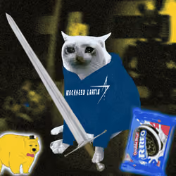 Cash Cat #6196