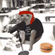 Cash Cat #7292