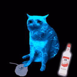 Cash Cat #8964