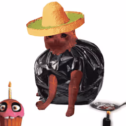Cash Cat #2133