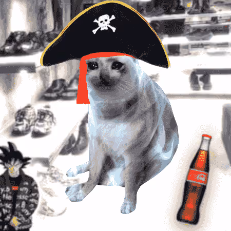 Cash Cat #4277