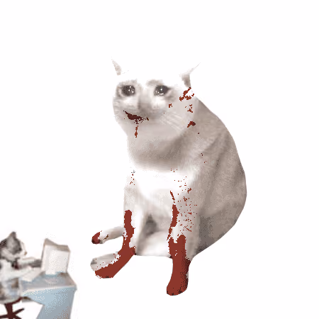 Cash Cat #1738