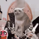 7666