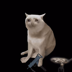 Cash Cat #6347
