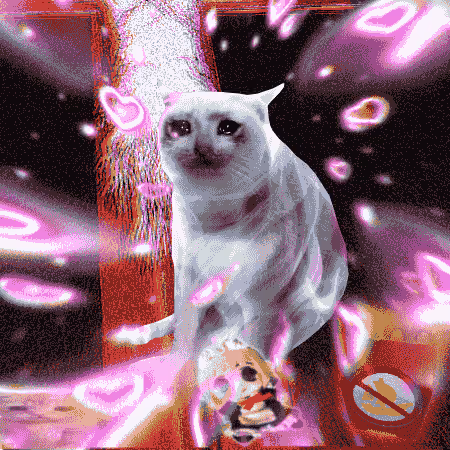 Cash Cat #3479