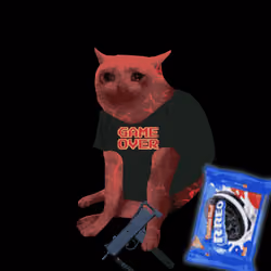 Cash Cat #7637