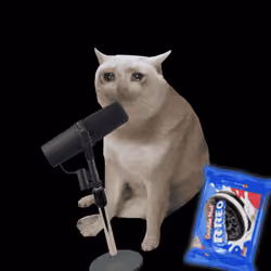 Cash Cat #6607