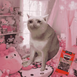 Cash Cat #9343