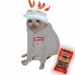 Cash Cat #5467