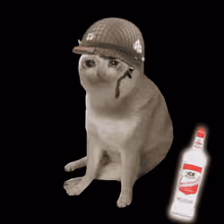 Cash Cat #4570