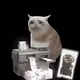 4821