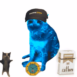 Cash Cat #8912