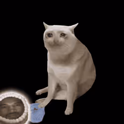 Cash Cat #5282