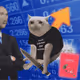 4284
