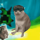 Cash Cat #6131