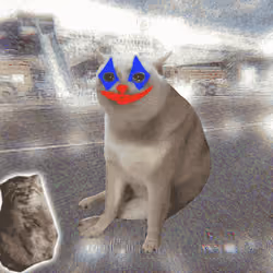 Cash Cat #8860