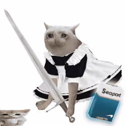 Cash Cat #3707