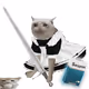3707