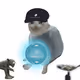 Cash Cat #3035