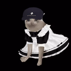 Cash Cat #9433