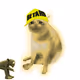 3553