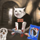 Cash Cat #3942