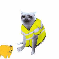 Cash Cat #2725