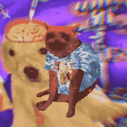 Cash Cat #8203