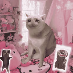 Cash Cat #8789