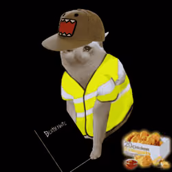 Cash Cat #454