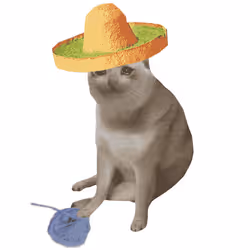 Cash Cat #225