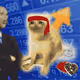 Cash Cat #8184