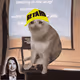iamretarded