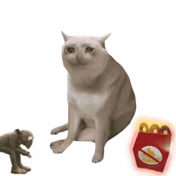 Cash Cat #9230