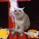 8866