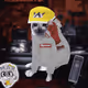 Cash Cat #7934
