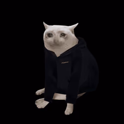 Cash Cat #959