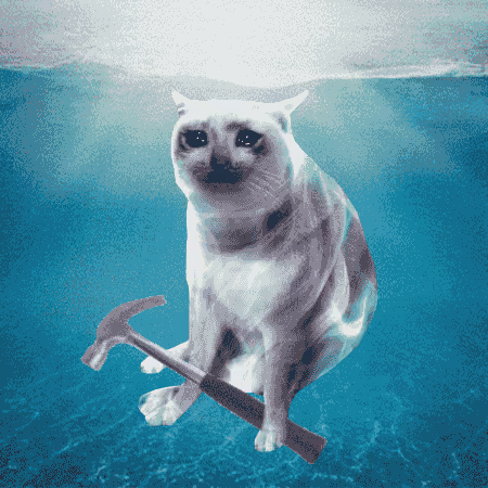 Cash Cat #5940