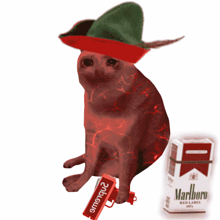 Cash Cat #6349