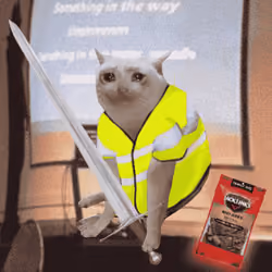 Cash Cat #3802