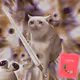 6684