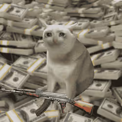 Cash Cat #7807
