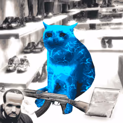 Cash Cat #753