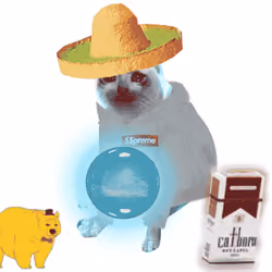 Cash Cat #6663