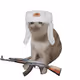 5113