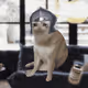 4579