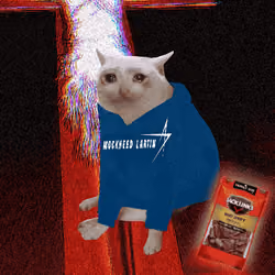Cash Cat #9913